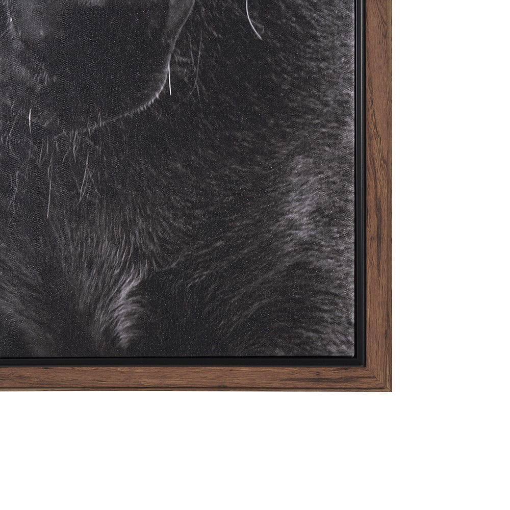 Mercana - The Foal by Mercana Studio a Hand Embellished Textured Framed Canvas - 102667-FL view 3