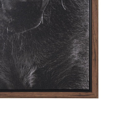 Mercana - The Foal by Mercana Studio a Hand Embellished Textured Framed Canvas - 102667-FL view 3