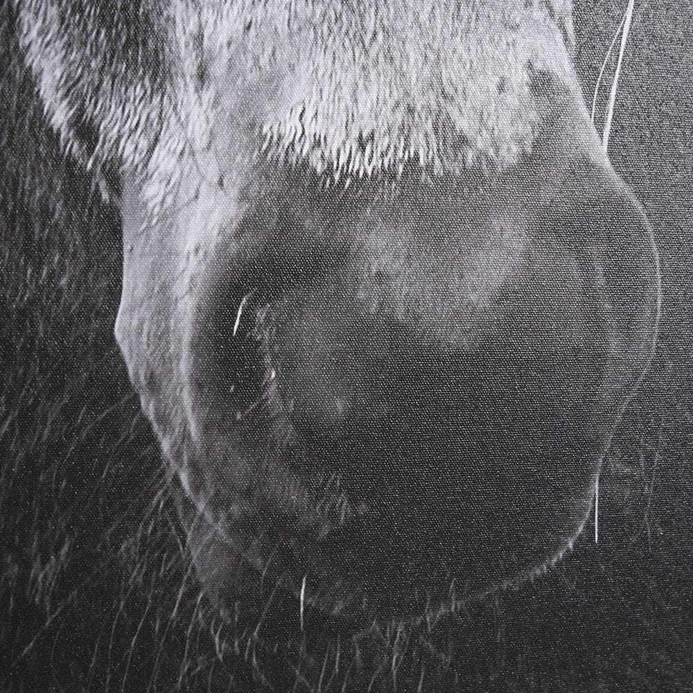 Mercana - The Foal by Mercana Studio a Hand Embellished Textured Framed Canvas - 102667-FL view 6