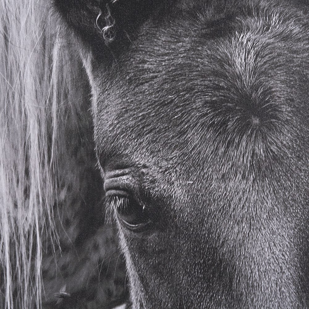 Mercana - The Foal by Mercana Studio a Hand Embellished Textured Framed Canvas - 102667-FL view 7