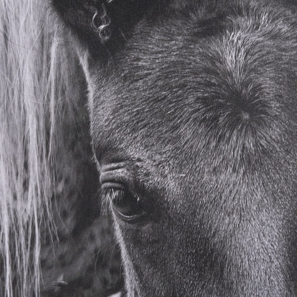 Mercana - The Foal by Mercana Studio a Hand Embellished Textured Framed Canvas - 102667-FL view 7