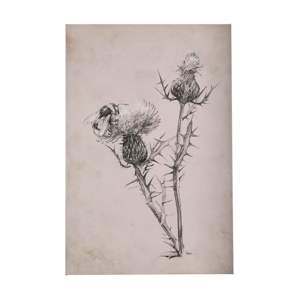 Mercana - Thistle With Bumblebee Drawing IV by Mercana Studio a Hand Embellished Textured Canvas - 102454-S view 1