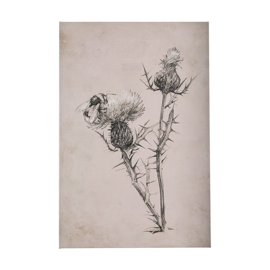 Mercana - Thistle With Bumblebee Drawing IV by Mercana Studio a Hand Embellished Textured Canvas - 102454-S view 1