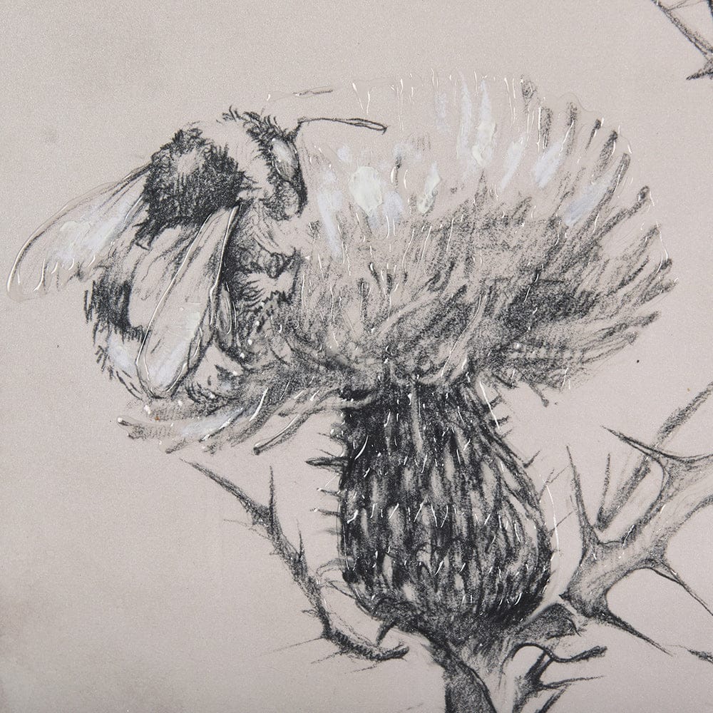 Mercana - Thistle With Bumblebee Drawing IV Mercana Studio Hand Embellished Framed Art Print Matted under Glas - 14704 view 7