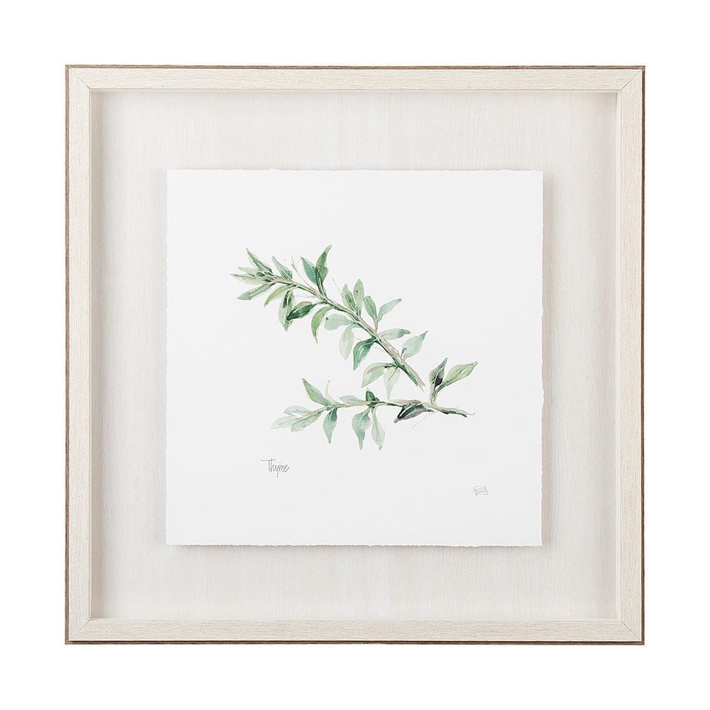 Mercana - Thyme v2 by Chris Paschke a Framed Art Print Matted under Glass - 11346 view 1