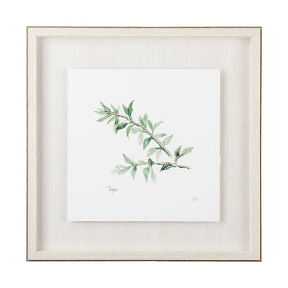 Mercana - Thyme v2 by Chris Paschke a Framed Art Print Matted under Glass - 11346 view 1