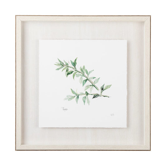 Mercana - Thyme v2 by Chris Paschke a Framed Art Print Matted under Glass - 11346 view 1