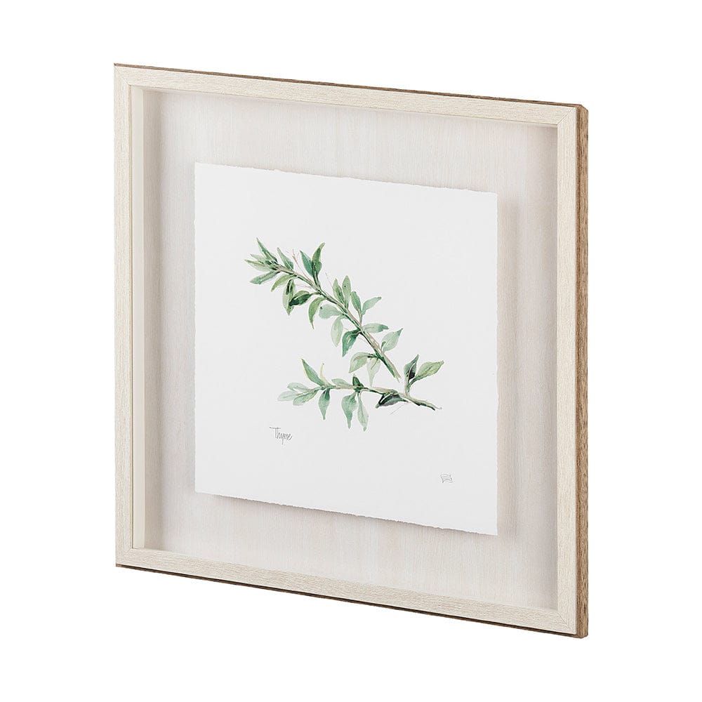 Mercana - Thyme v2 by Chris Paschke a Framed Art Print Matted under Glass - 11346 view 2