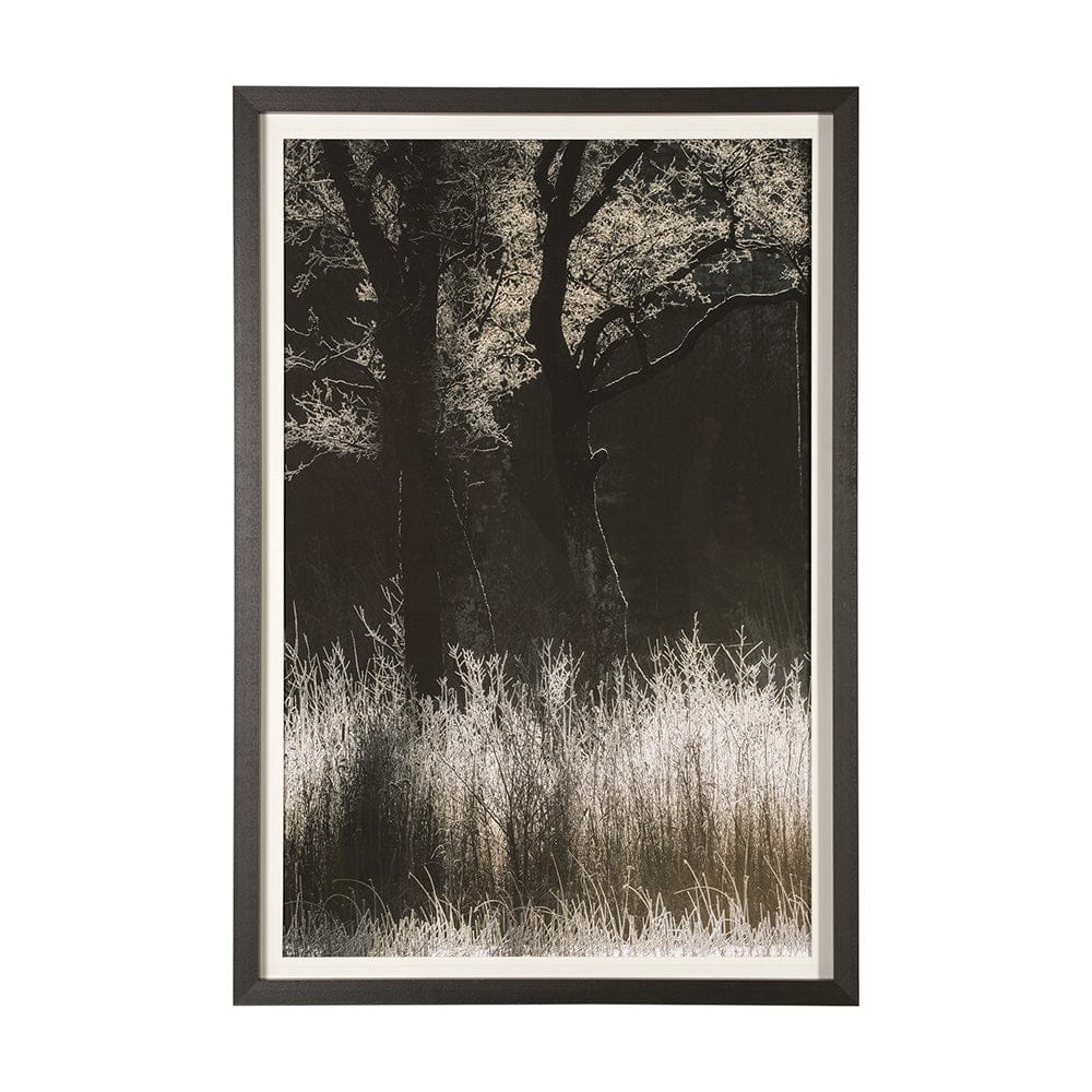 Mercana - Tranquil Symmetry I by Mikael Svensson a Framed Art Print Matted under Glass - 13443 view 1