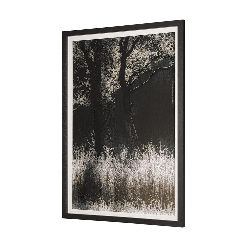 Mercana - Tranquil Symmetry I by Mikael Svensson a Framed Art Print Matted under Glass - 13443 view 3