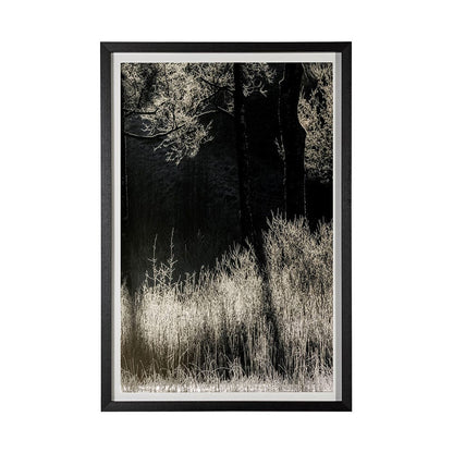 Mercana - Tranquil Symmetry II by Mikael Svensson a Framed Art Print Matted under Glass - 13444 view 1