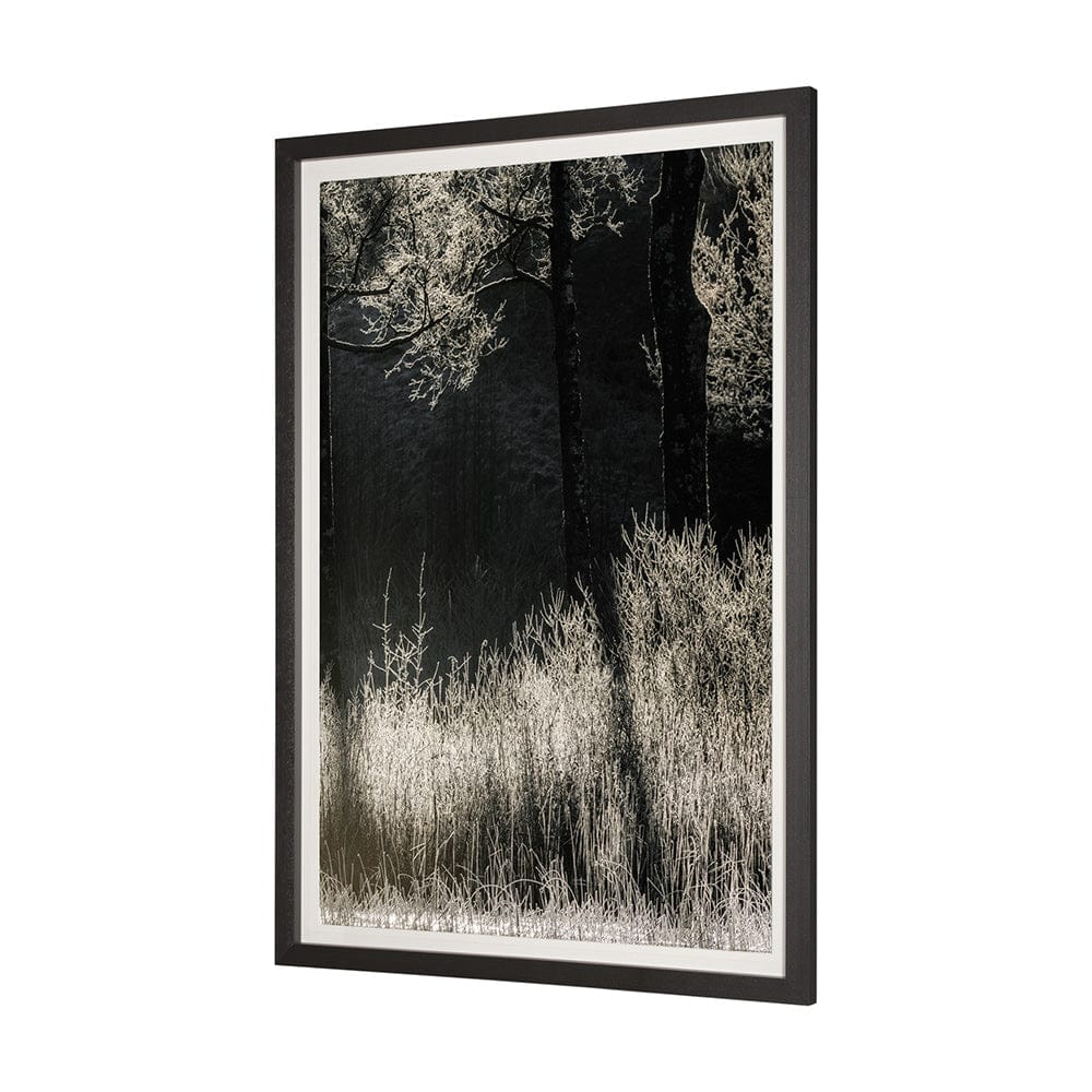 Mercana - Tranquil Symmetry II by Mikael Svensson a Framed Art Print Matted under Glass - 13444 view 3
