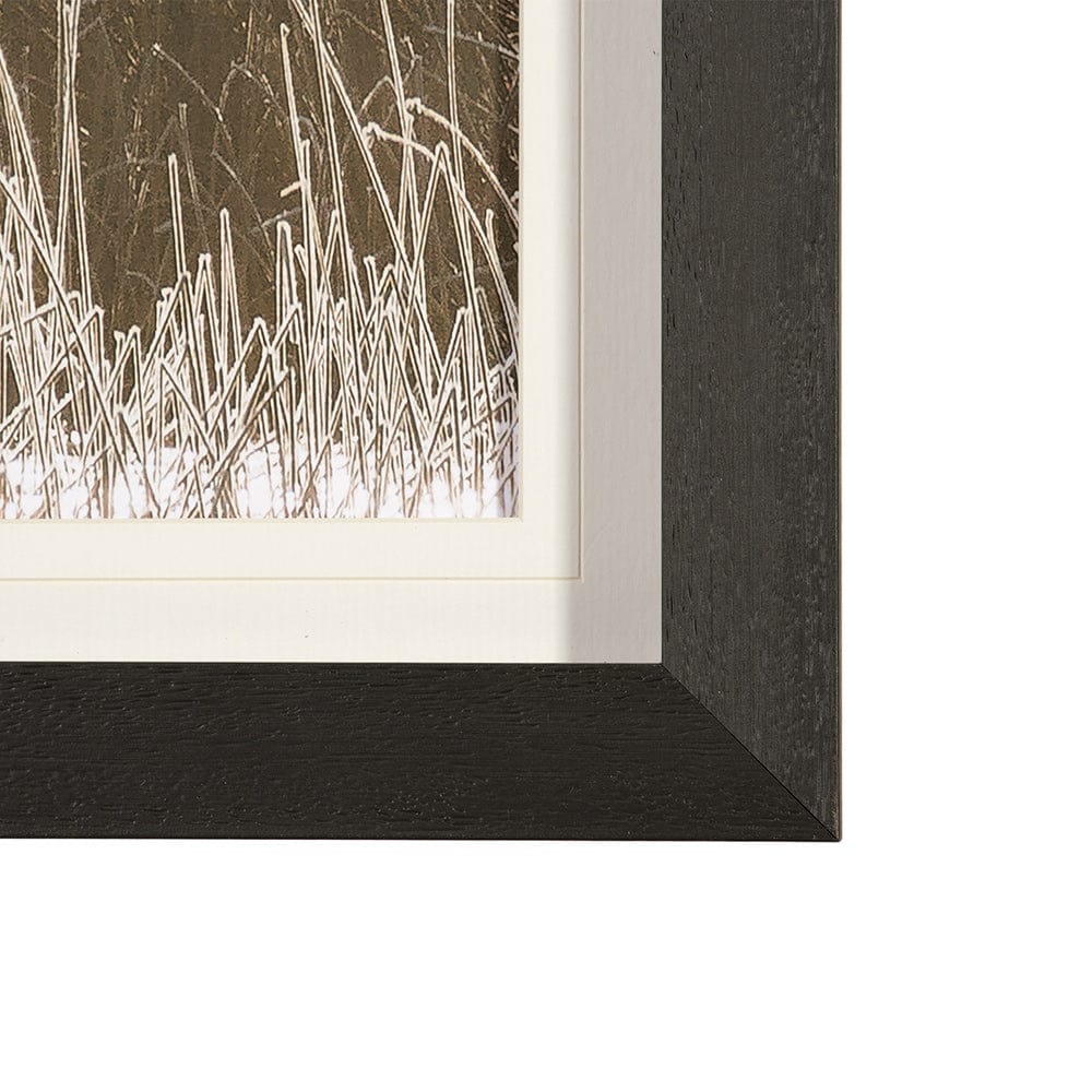 Mercana - Tranquil Symmetry II by Mikael Svensson a Framed Art Print Matted under Glass - 13444 view 4