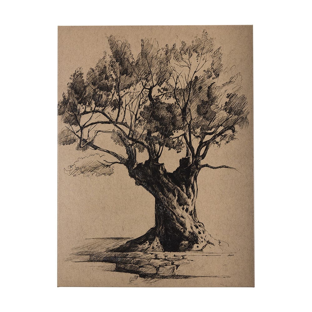 Mercana - Tree Drawing I by Mercana Studio a Hand Embellished Textured Canvas - 102501-L view 1