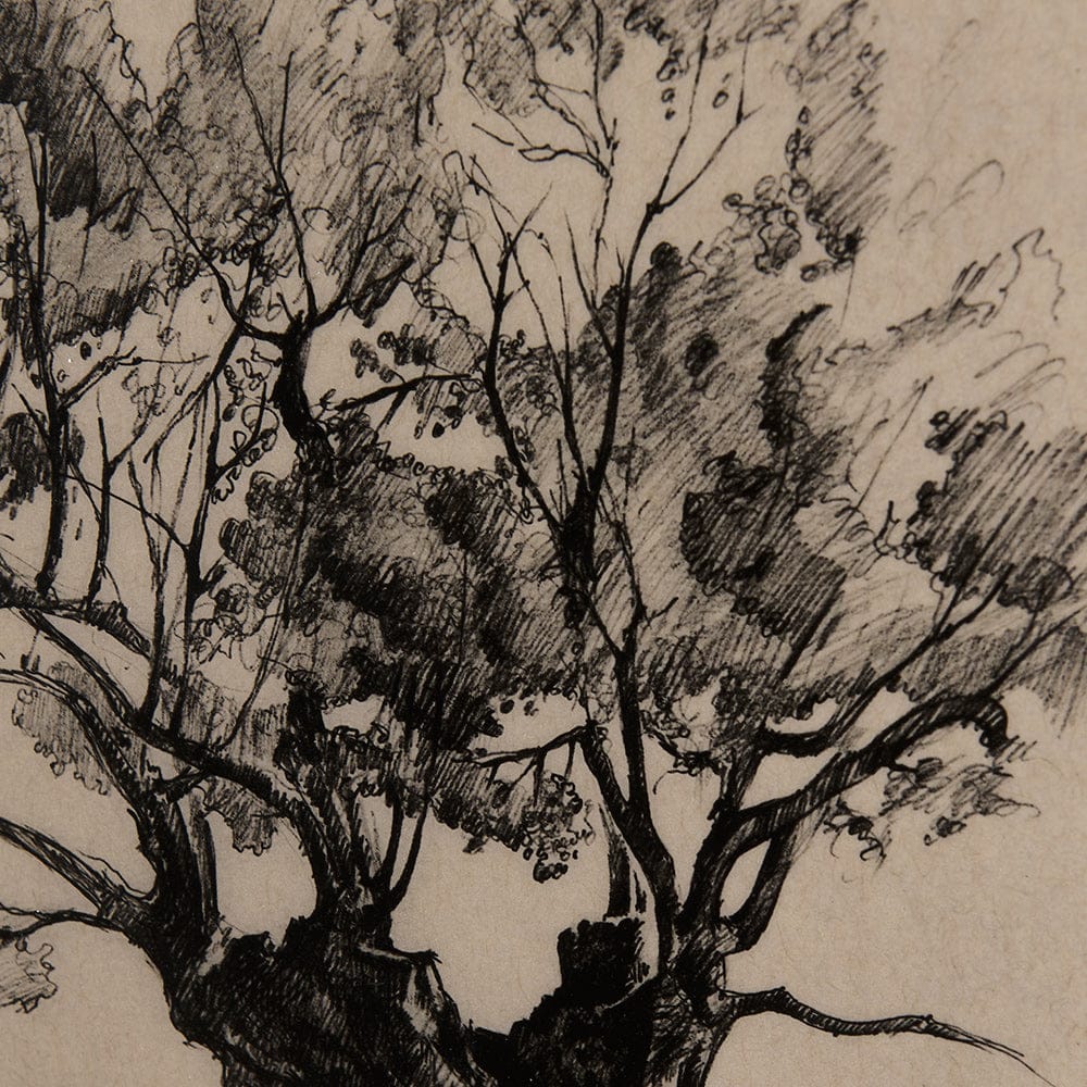 Mercana - Tree Drawing I by Mercana Studio a Hand Embellished Textured Framed Art Print Matted under Glass - 14718 view 7
