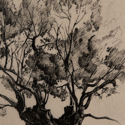 Mercana - Tree Drawing I by Mercana Studio a Hand Embellished Textured Framed Art Print Matted under Glass - 14718 view 7