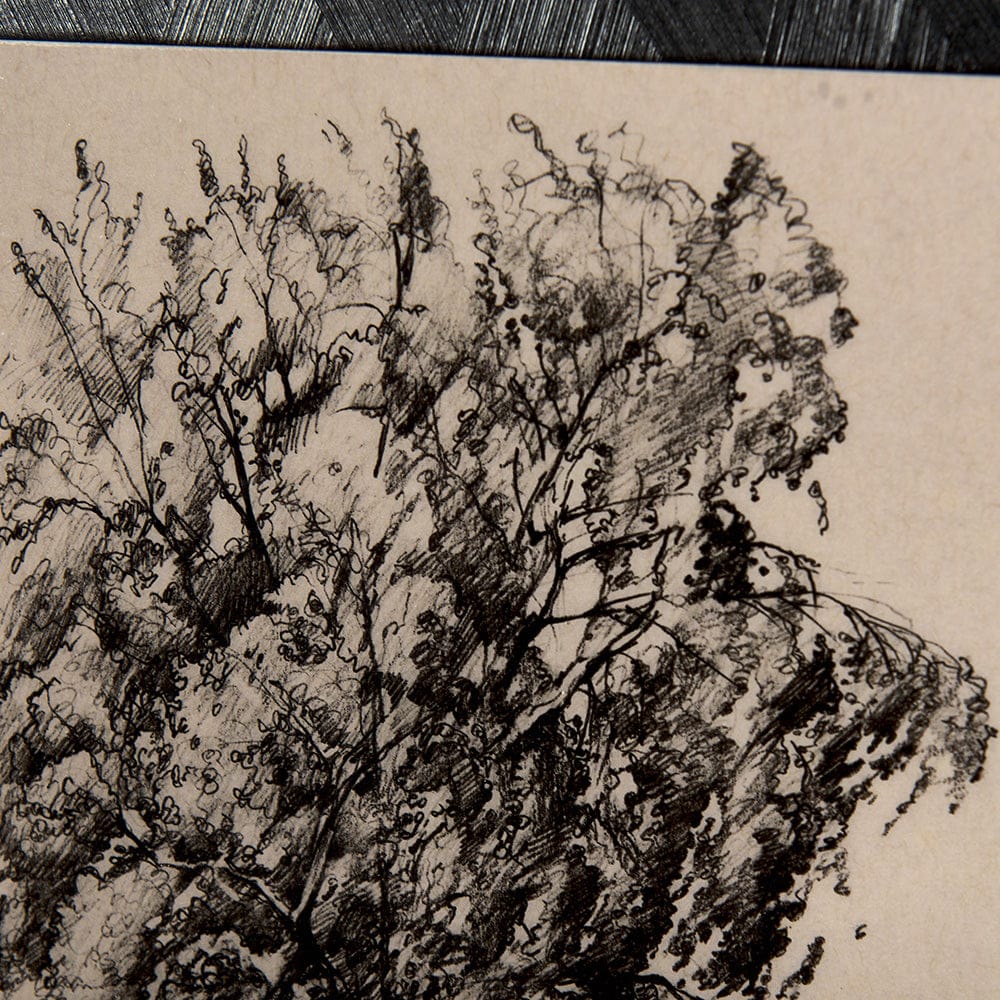 Mercana - Tree Drawing II by Mercana Studio a Hand Embellished Textured Framed Art Print Matted under Glass - 14719 view 7