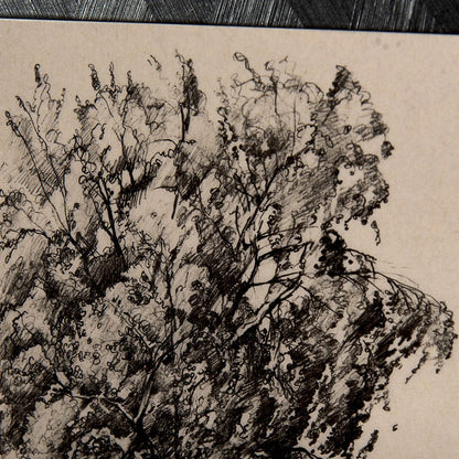 Mercana - Tree Drawing II by Mercana Studio a Hand Embellished Textured Framed Art Print Matted under Glass - 14719 view 7