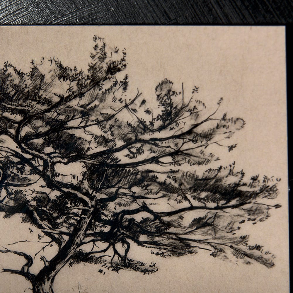 Mercana - Tree Drawing III by Mercana Studio a Hand Embellished Textured Framed Art Print Matted under Glass - 14720 view 7