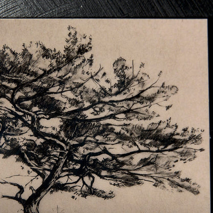 Mercana - Tree Drawing III by Mercana Studio a Hand Embellished Textured Framed Art Print Matted under Glass - 14720 view 7