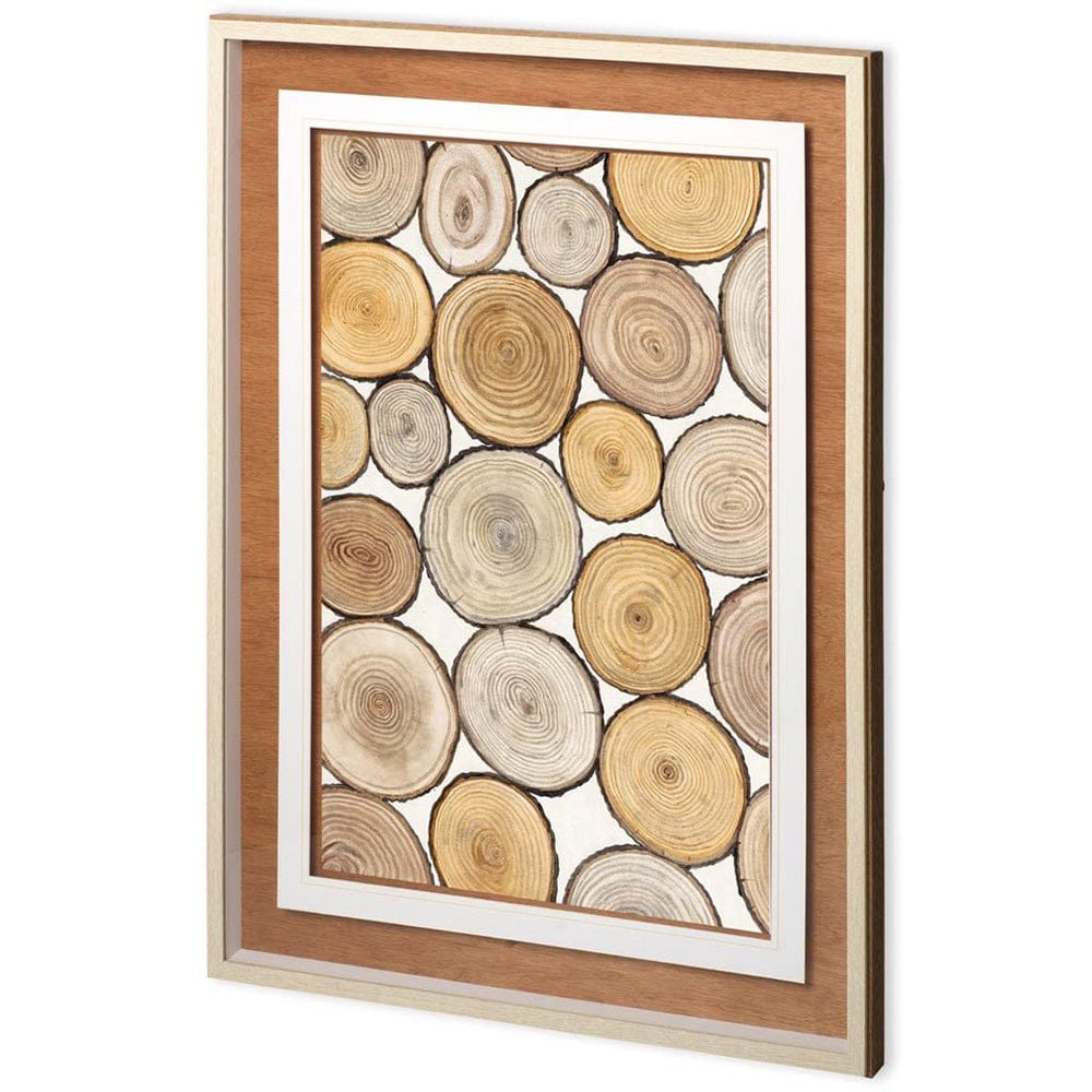 Mercana - Tree Ring Study I by Mercana Studio a Framed Art Print Matted under Glass - 11175 view 1