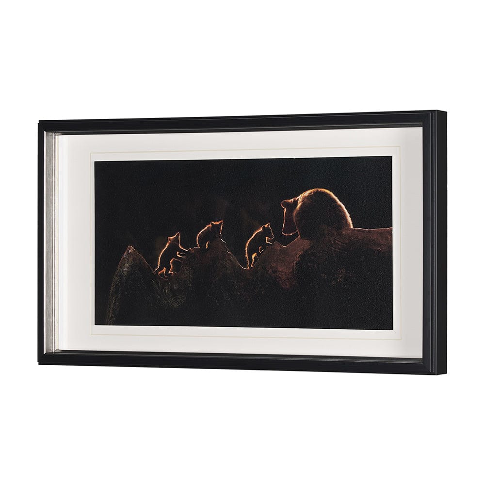 Mercana - Triplets by Xavier Ortega a Framed Art Print Matted under Glass - 12520 view 2