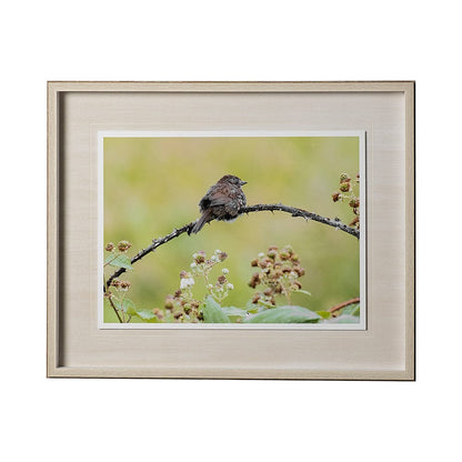Mercana - untitled by Nancy Crowell a Framed Art Print Matted under Glass - 12634 view 1