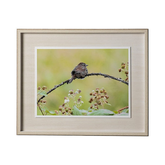 Mercana - untitled by Nancy Crowell a Framed Art Print Matted under Glass - 12634 view 1