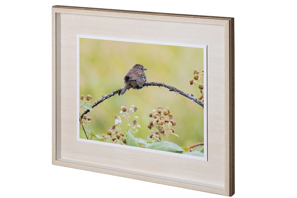 Mercana - untitled by Nancy Crowell a Framed Art Print Matted under Glass - 12634 view 2