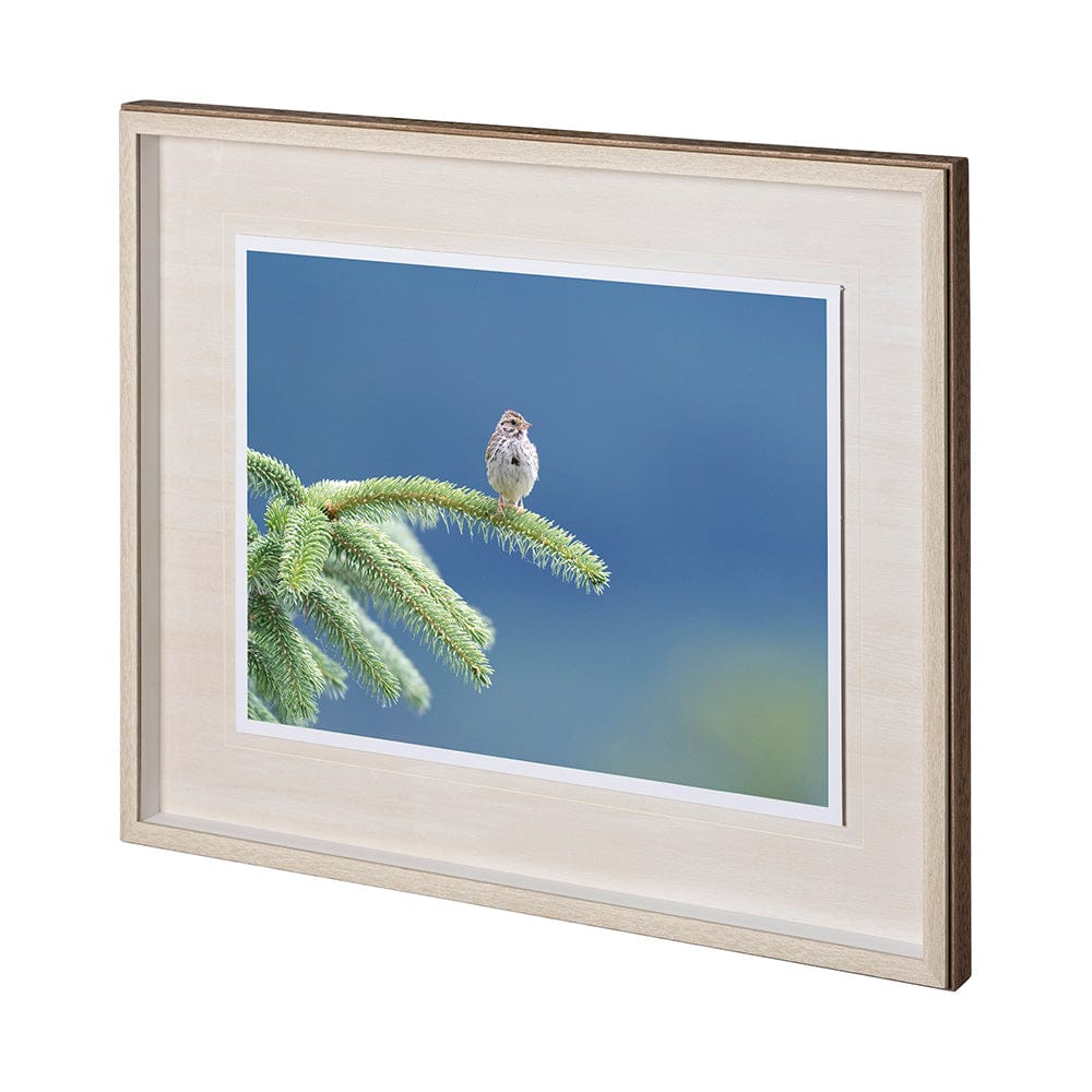 Mercana - untitled by Nancy Crowell a Framed Art Print Matted under Glass - 12635 view 1