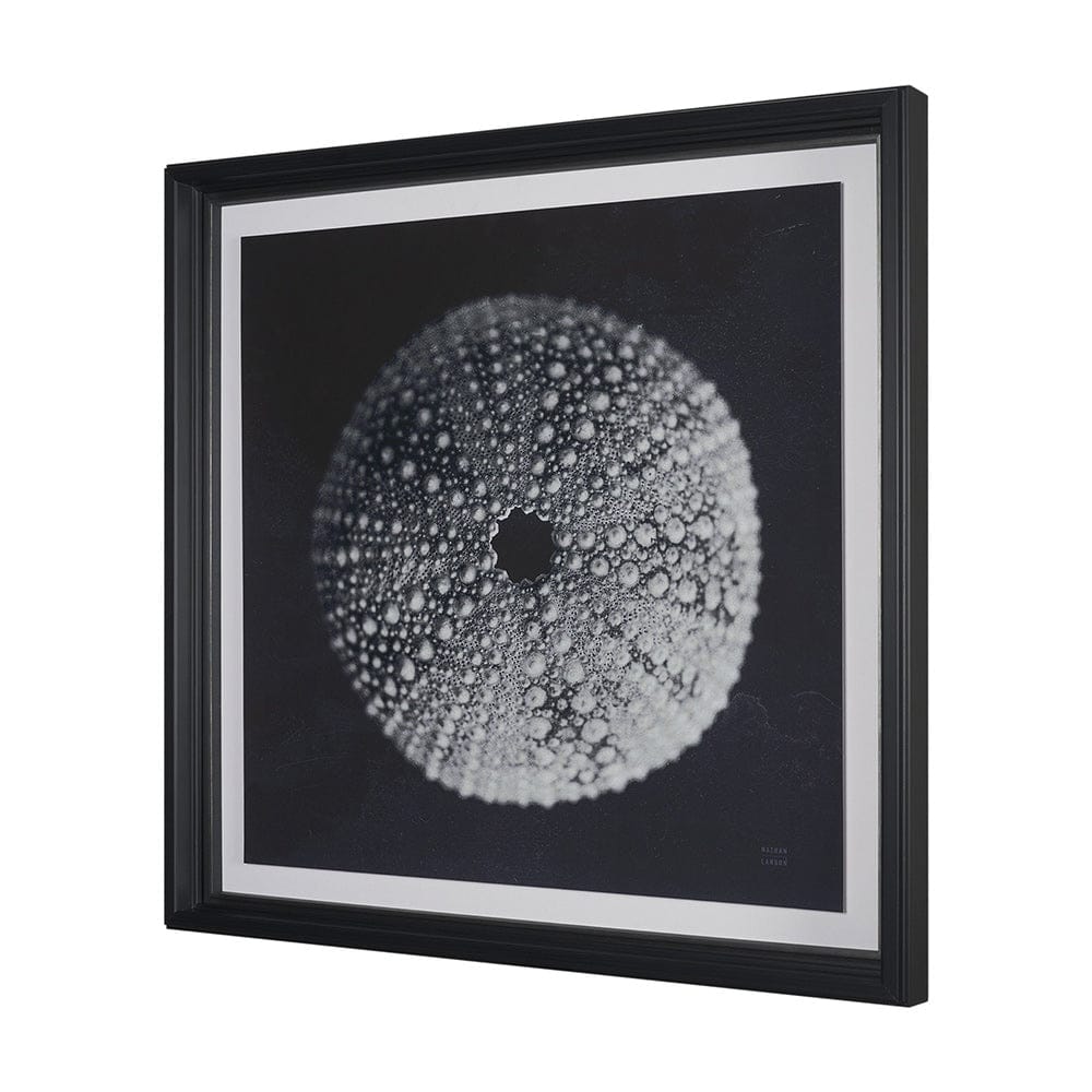 Mercana - Urchin Still Life I by Nathan Larson a Hand Embellished Framed Art Print Matted under Glass - 15828 view 2