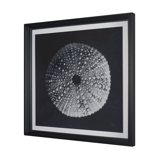 Mercana - Urchin Still Life I by Nathan Larson a Hand Embellished Framed Art Print Matted under Glass - 15828 view 2