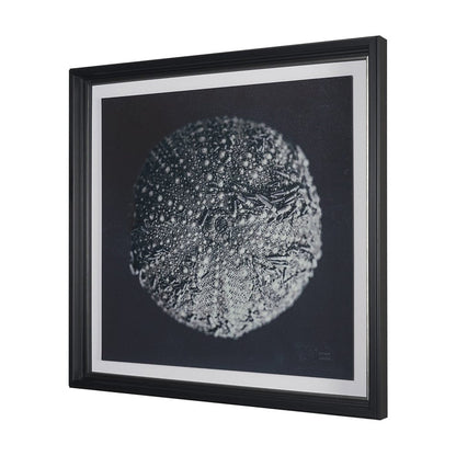 Mercana - Urchin Still Life II by Nathan Larson a Hand Embellished Framed Art Print Matted under Glass - 15829 view 2
