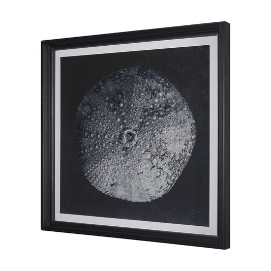 Mercana - Urchin Still Life III by Nathan Larson a Hand Embellished Framed Art Print Matted under Glass - 15830 view 2