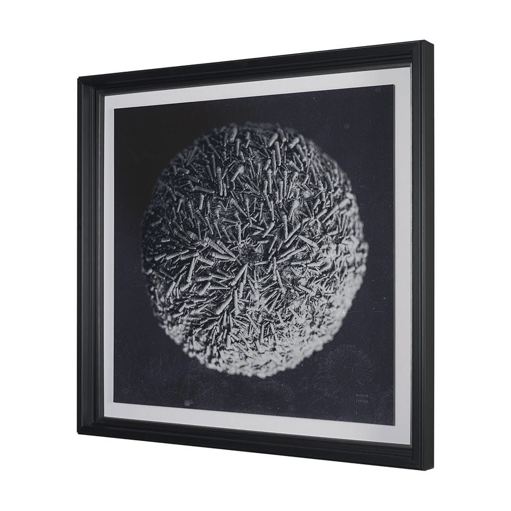 Mercana - Urchin Still Life IV by Nathan Larson a Hand Embellished Framed Art Print Matted under Glass - 15831 view 2