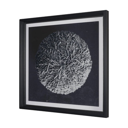 Mercana - Urchin Still Life IV by Nathan Larson a Hand Embellished Framed Art Print Matted under Glass - 15831 view 2