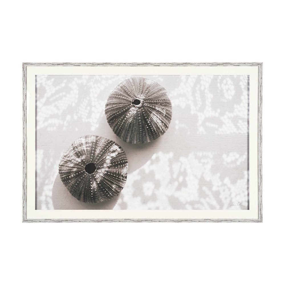 Mercana - Urchins in Lace I by Deborah Revell a Hand Embellished Framed Print under Glass - 15805 view 1