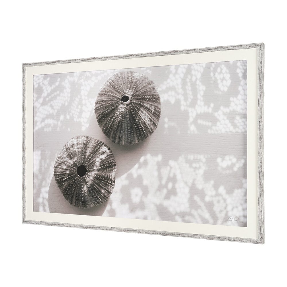 Mercana - Urchins in Lace I by Deborah Revell a Hand Embellished Framed Print under Glass - 15805 view 2