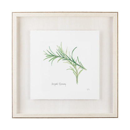 Mercana - Variegated Rosemary v2 by Chris Paschke a Framed Art Print Matted under Glass - 11344 view 1