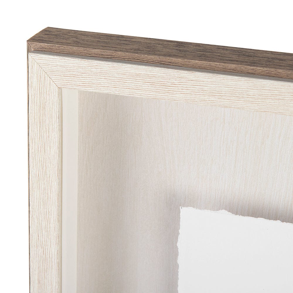 Mercana - Variegated Rosemary v2 by Chris Paschke a Framed Art Print Matted under Glass - 11344 view 4