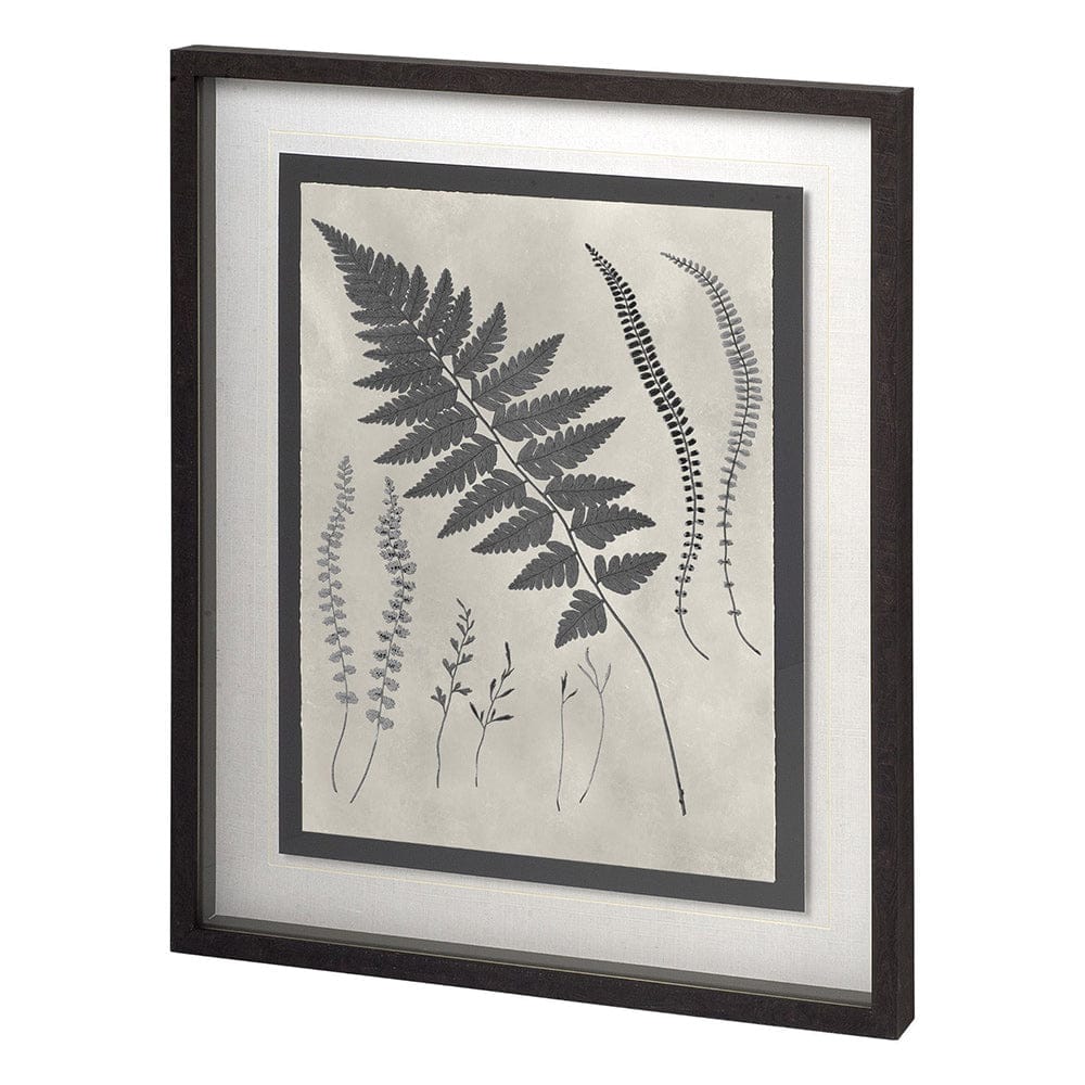 Mercana - Vintage Fern Study by Mercana Studio a Hand Embellished Textured Framed Art Print Matted under Glass - 11387 view 1