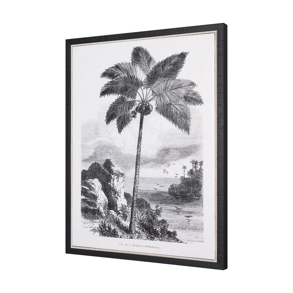 Mercana - Vintage Palm Tree Drawing I by Les Palmiers Histoire Embellished Textured Framed Canvas - 102681-FS view 2