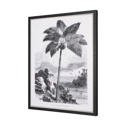 Mercana - Vintage Palm Tree Drawing I by Les Palmiers Histoire Embellished Textured Framed Canvas - 102681-FS view 2