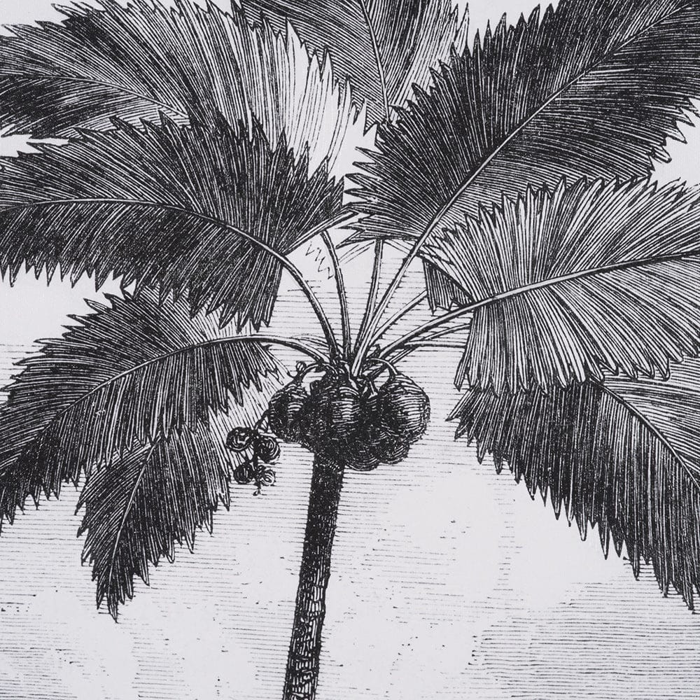 Mercana - Vintage Palm Tree Drawing I by Les Palmiers Histoire Embellished Textured Framed Canvas - 102681-FS view 7