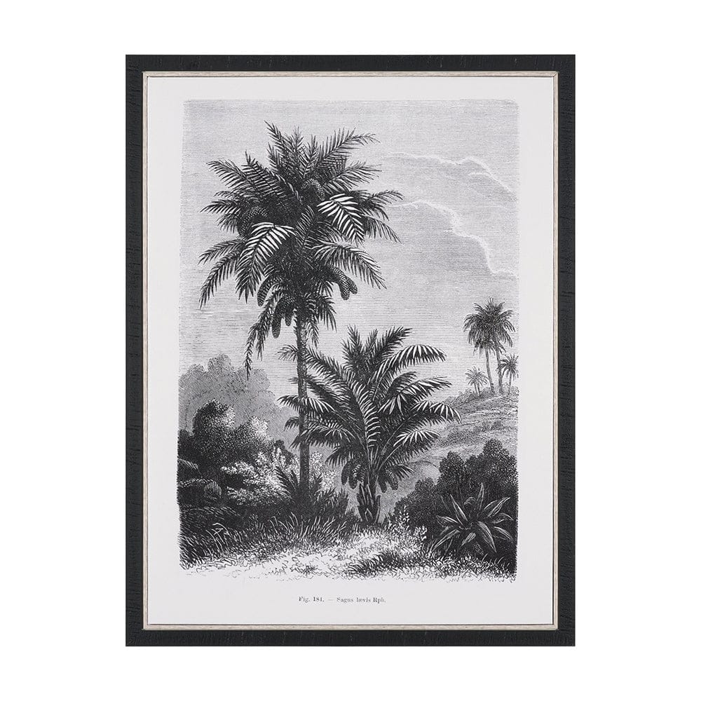 Mercana - Vintage Palm Tree Drawing V by Les Palmiers Histoire a Hand Embellished Textured Framed Canvas - 102682-FS view 1