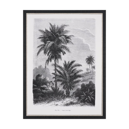 Mercana - Vintage Palm Tree Drawing V by Les Palmiers Histoire a Hand Embellished Textured Framed Canvas - 102682-FS view 1