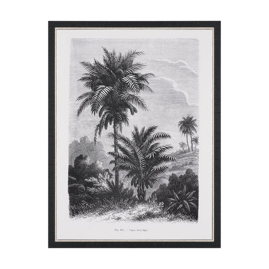 Mercana - Vintage Palm Tree Drawing V by Les Palmiers Histoire a Hand Embellished Textured Framed Canvas - 102682-FS view 1