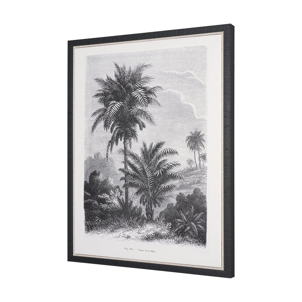 Mercana - Vintage Palm Tree Drawing V by Les Palmiers Histoire a Hand Embellished Textured Framed Canvas - 102682-FS view 2