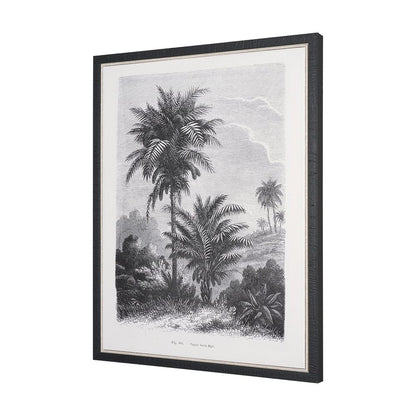 Mercana - Vintage Palm Tree Drawing V by Les Palmiers Histoire a Hand Embellished Textured Framed Canvas - 102682-FS view 2