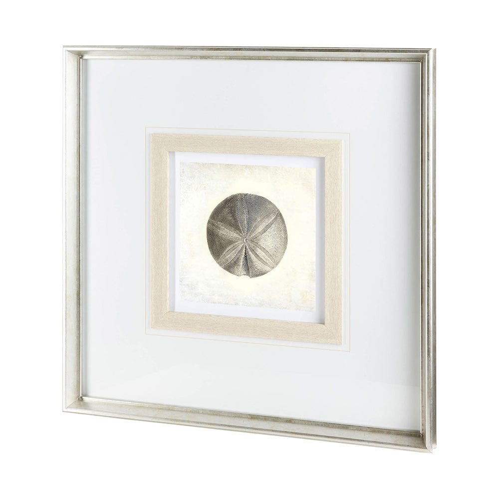 Mercana - Vintage Sand Dollar by Mercana Studio a Framed Art Print Matted under Glass - 12042 view 1